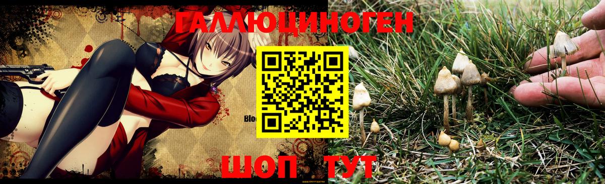 Псилоцибиновые грибы мицелий  Вход с VPN  Уварово  Галлюциногенные грибы MAGIC MUSHROOMS 